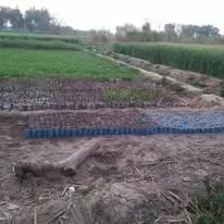 Green Seekers Activity